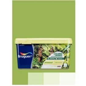 Colores Del Mundo Amazonas 4L Bruguer