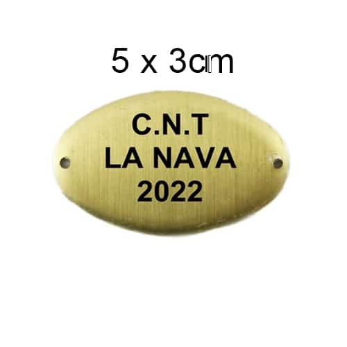 Artespray - Chapa de laton grabada para trofeos de caza y tablas de taxidermia